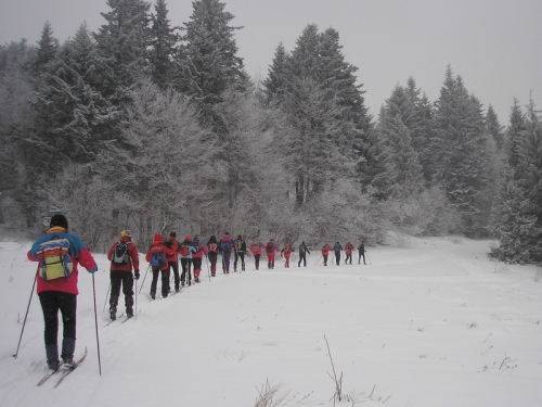 201002011753190.2010.01.31 - Pieniny 011